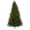 7.5ft. Pre-Lit Rembrandt Artificial Christmas Tree, Clear Lights